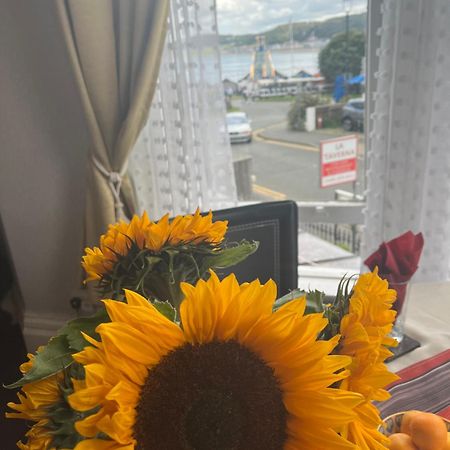 ホテル Bella Vista ランディドノー エクステリア 写真