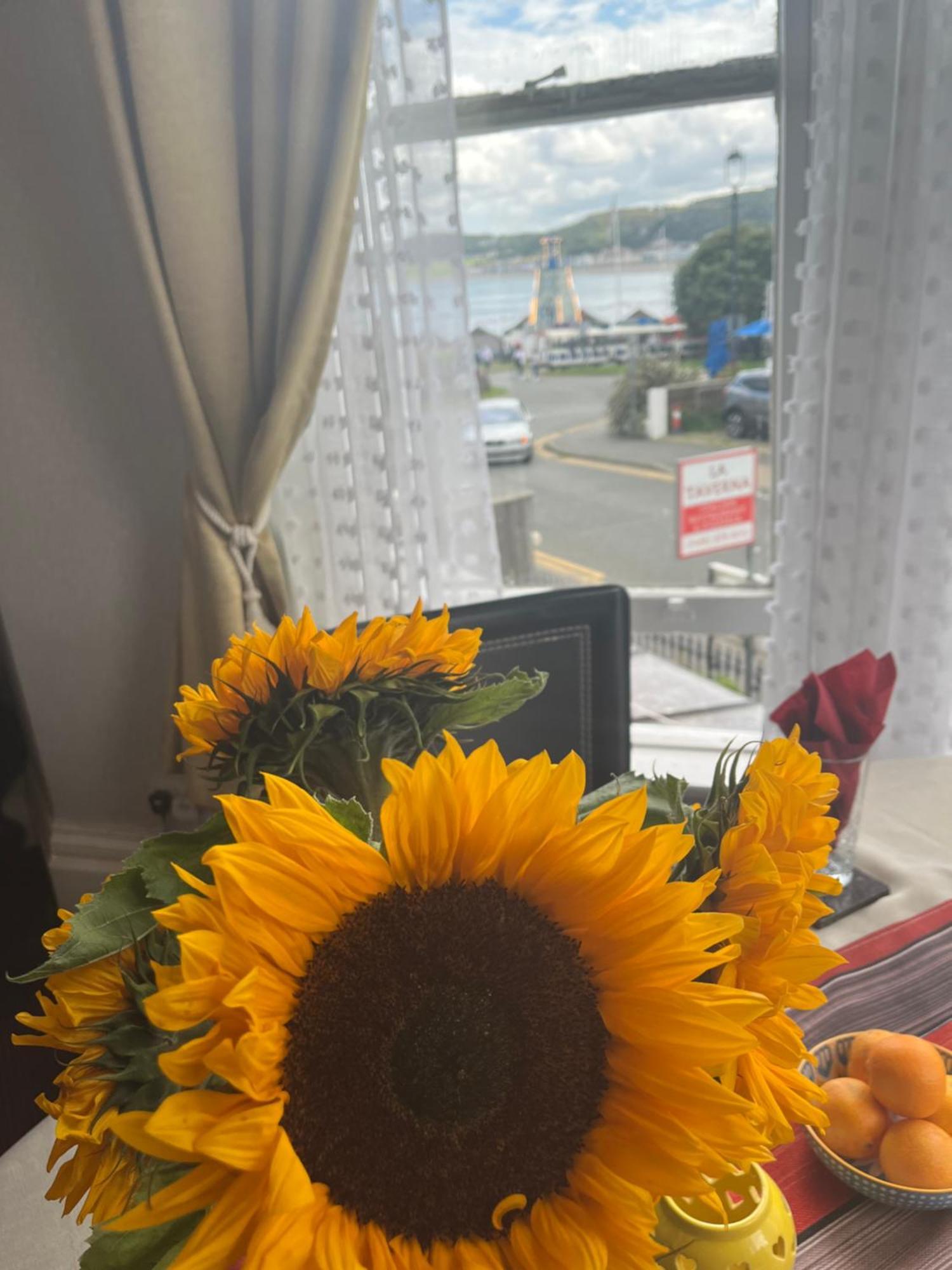 ホテル Bella Vista ランディドノー エクステリア 写真